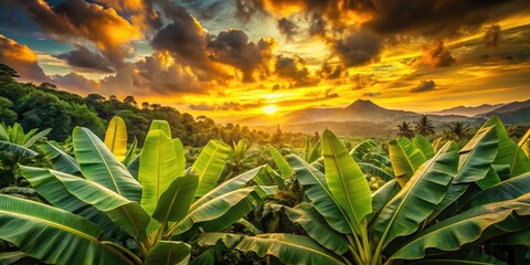 Stunning Banana Pattern Landscape Photography: Tropical Paradise, Yellow Fruit, Nature Scenery, Artistic Image