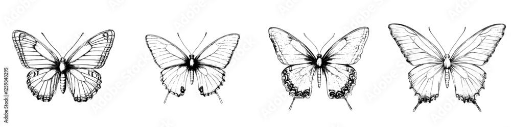 Poster detailed sketches of various butterfly species showcasing unique wing patterns and structures in a m