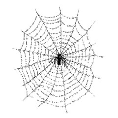 Obraz premium Intricate spider web glistening with dew drops in the early morning light