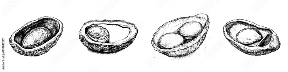 Poster different types of oyster shells showcasing pearls and eggs in various orientations and textures