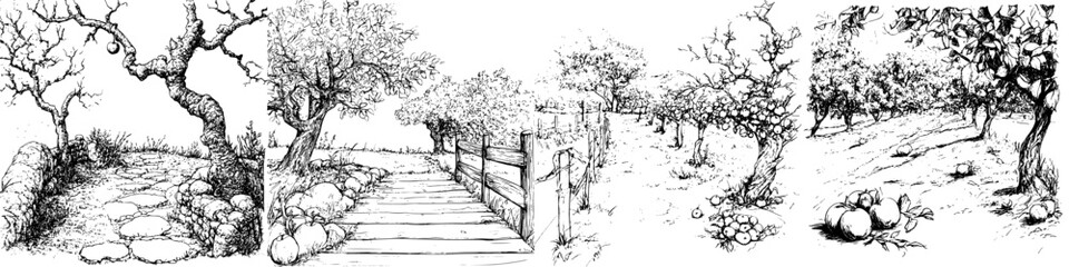 Obraz premium Artistic illustrations of an orchard path and landscape showcasing nature's beauty across different perspectives and seasons