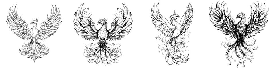 Fototapeta premium Stunning hand-drawn vector illustrations of mythical phoenix birds in various elegant poses and styles