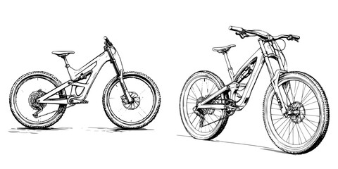 Vector illustration of two hand-drawn mountain bikes showcasing unique designs and features for outdoor enthusiasts