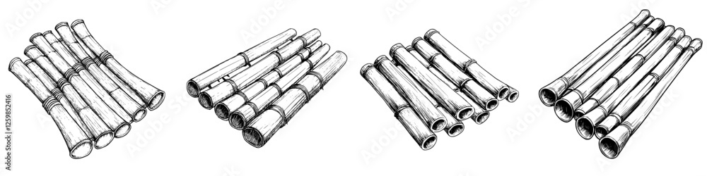 Poster vector illustration of hand-drawn bamboo arrangements showcasing unique structures and textures in a