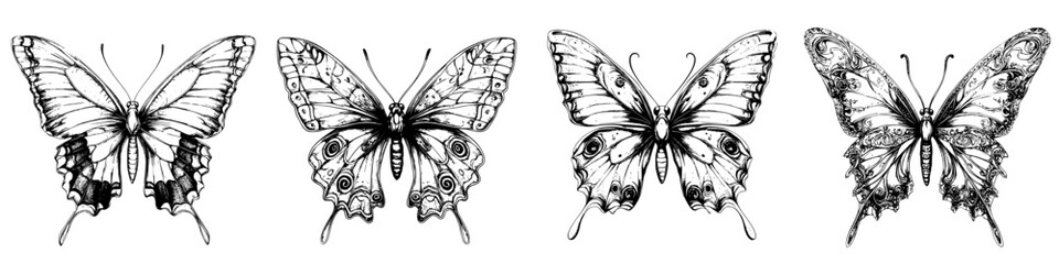 Vector illustration of hand-drawn butterflies in various intricate designs showcasing beauty and diversity in nature