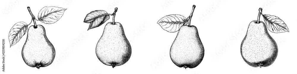 Poster hand-drawn vector illustration of fresh pears with leaves in various orientations and sizes on a sim