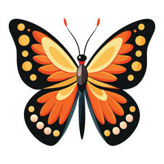 butterfly on white background