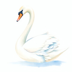 Elegant white swan gracefully gliding on calm water in a serene natural setting 