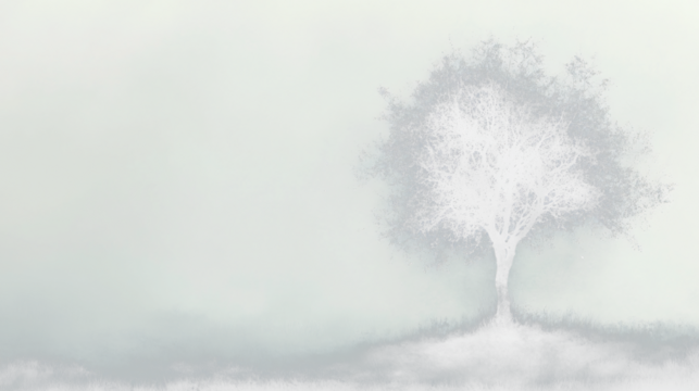 a tree in the fog