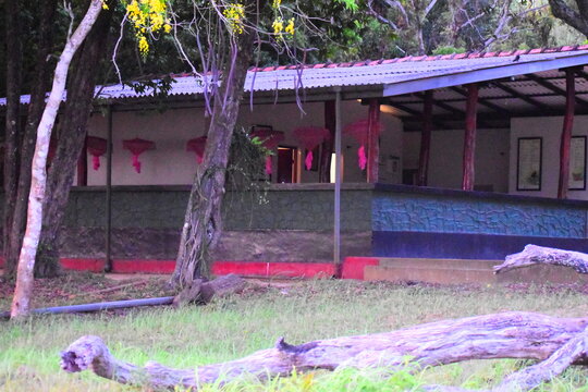 A wildlife bunglow in sri lanka