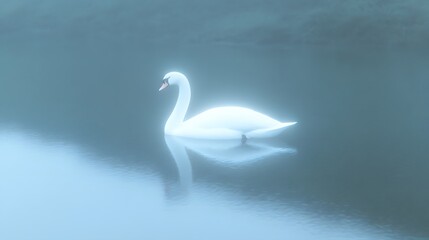 Obraz premium Ethereal Swan Floating on Misty Lake with Serene Reflection A tranquil moody and mystical scene of a lone swan gliding gracefully across a still hazy lake with a stunning mirrored reflection