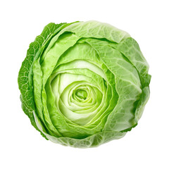 Obraz premium Fresh Green Cabbage with Curled Leaves Isolated on White Background for Culinary and Nutritional Purposes