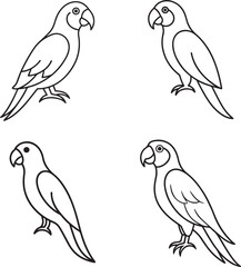 Fototapeta premium silhouette black line art parrot 