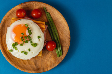 Delicious breakfast plate with fried egg, tomatoes, and green onions