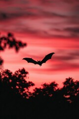 Naklejka premium Bat flying over the forest at dusk, with a red sky background, for Halloween designs