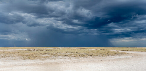 dust devil and dark stormy clouds over sweet grassveld on lime countryside, near Salvadora...