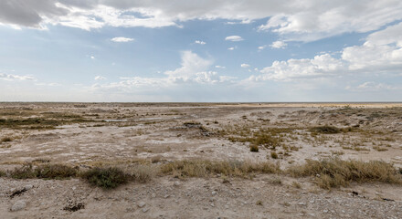 Sueda waterhole, Etosha, Namibia
