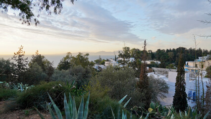 Il caratteristico villaggio di Sidi Bousaid si trova vicino a Cartagine e si distingue per i colori...