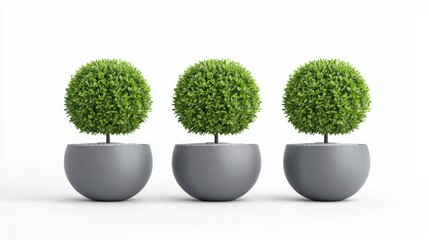 Flourishing greenery, three potted plants elevating modern interior design three