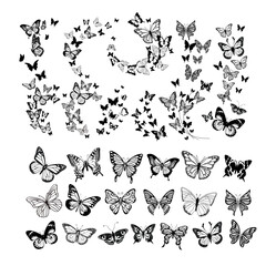 Vintage Butterfly Collection  vector illustration