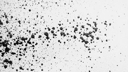 gray background, photograph of black paint splashes on white wall