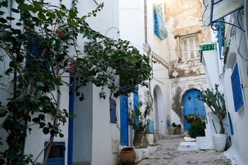 Il caratteristico villaggio di Sidi Bousaid si trova vicino a Cartagine e si distingue per i colori bianco e azzurro delle sue case. Cartagine, Tunisia, Africa del Nord