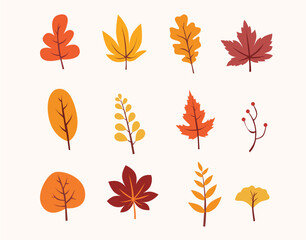 Set of autumn leaves, fallen leaves, flat design vector illustration isolated on white background, hand drawn