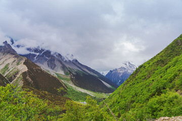 Obraz premium Beautiful Plateau Pasture and Meili Snow Mountain in Linzhi City, Tibet Autonomous Region, China On July 12th, 2023