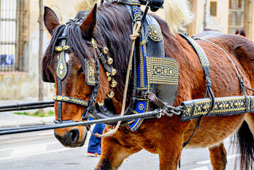 Horse parade at the Festival of the Three Sepulchres in Igualada, Barcelona, ​​feast of Saint...