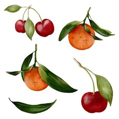 Watercolor illustrations of fruit with vibrant colors and natural detail