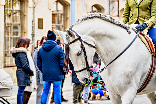 Horse parade at the Festival of the Three Sepulchres in Igualada, Barcelona, ​​feast of Saint Anthony the Abbot