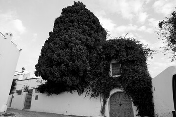 Il caratteristico villaggio di Sidi Bousaid si trova vicino a Cartagine e si distingue per i colori...