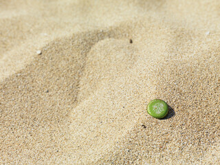 砂浜と瓶のおうかん