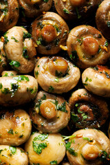 Garlic butter mushrooms with parsley and black pepper, focus on mushroom in the middle, close-up view. Mushroom background