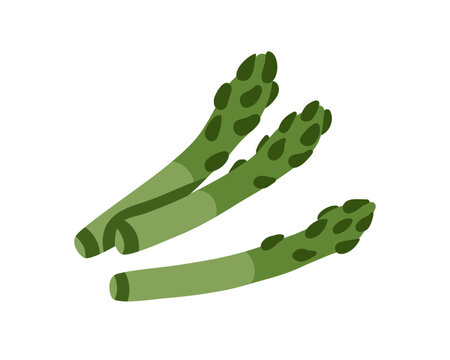 green asparagus spears on white background clip art preview