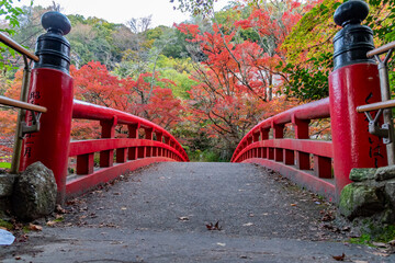 Naklejka premium 岩屋堂公園