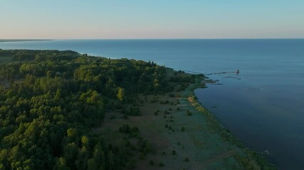 Forested marshy coastline at goldehour, Saaremaa Estonia