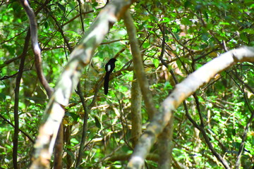 Amazing Wild Life of Sri Lanka