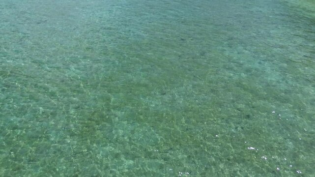 Aerial Drone view of Turtle swimming at the Shore next to Beach of Gili Trawangan stunning Island. Crystal-clear Turquoise Water on vibrant Island Scenery.
Tropical Paradise Nature Landscape in Asia.