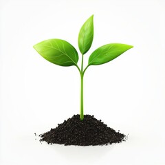 Small sprout with two leaves emerging from the soil isolated on white