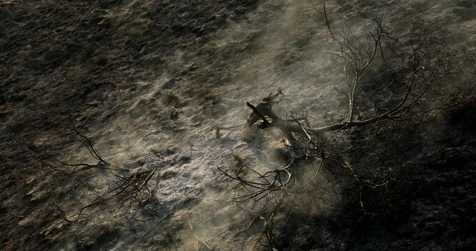 Smoke passes over a scorched landscape and a tree lays dead in the aftermath of a wildfire in the foothills of California, USA.