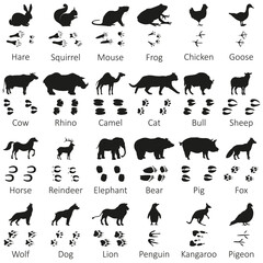 Animal Footprint Silhouette Clipart Vector Set