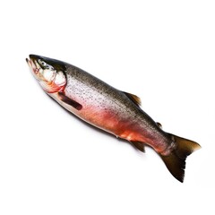 Close-up of a Fresh Salmon: A Culinary and Natural Wonder