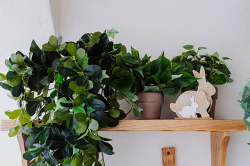 Green plants decorate a wooden shelf with wooden bunny figurines