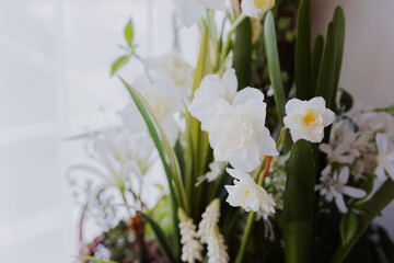 Beautiful arrangement of white flowers in a bright indoor setting