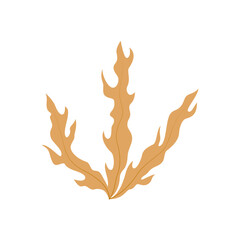 underwater seaweed illustration element