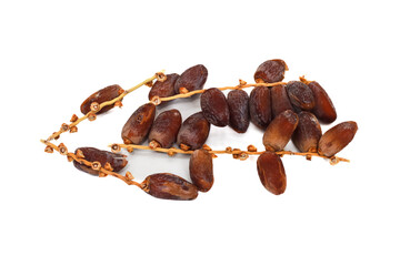 Delicious and Healthy Dates on the Branch Isolated on White Backdrop