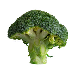 fresh broccoli vegetables isolated © berkahjayamaterial