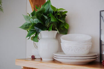 Decorative vase with greenery and white dishware on wooden shelf