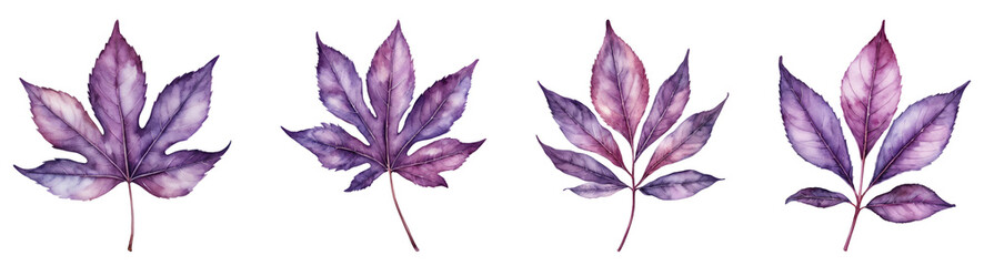 Watercolor Illustration, Purple Leaf PNG set